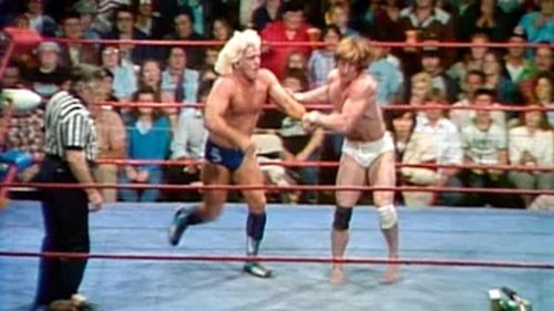 Background image for WCCW - May 28, 1983