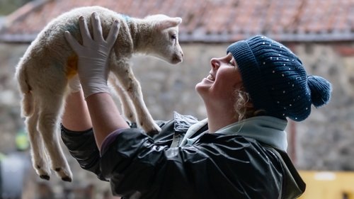 Background image for Lamb-ageddon