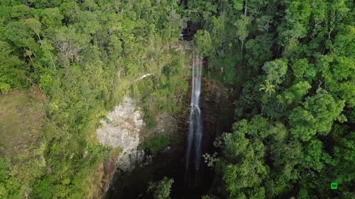 Borneo: Dark Shadow