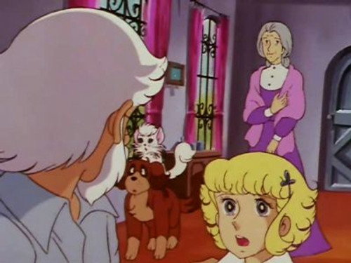 The 7-Color Flower that Invites a Rainbow