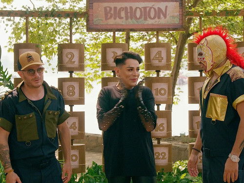 Between Beers, Bugs and Heat