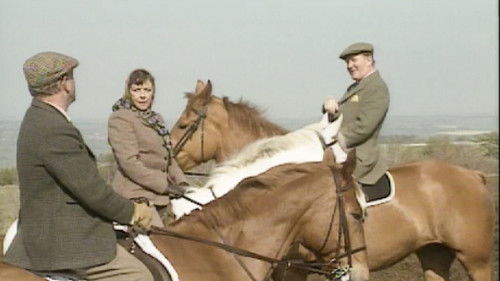 Background image for Mending Fences