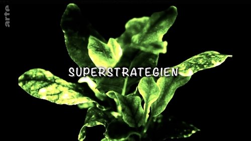 Background image for Super strategies