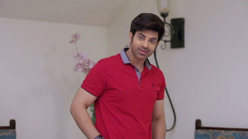 The Bahus have a Plan