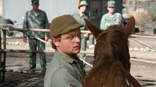 Background image for The Colonel's Horse