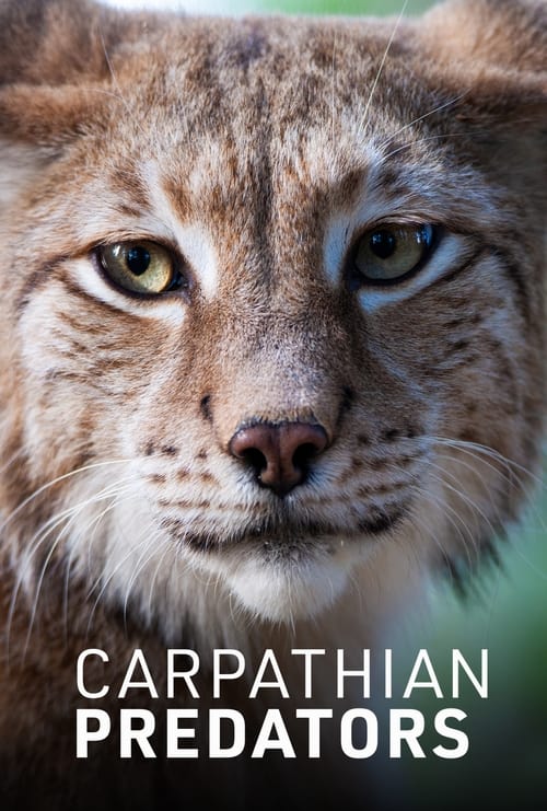 Show cover for Carpathian Predators