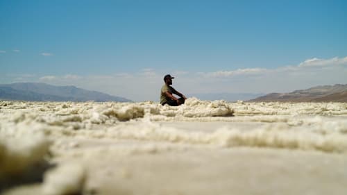 Death Valley: Life Blooms