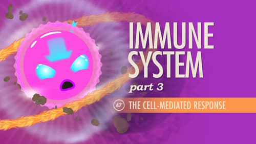 Immune System, Part 3