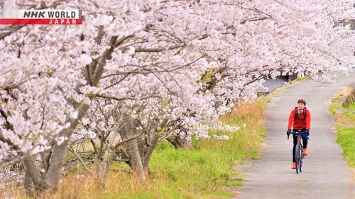 Background image for Tokushima - Where Teamwork Runs Deep