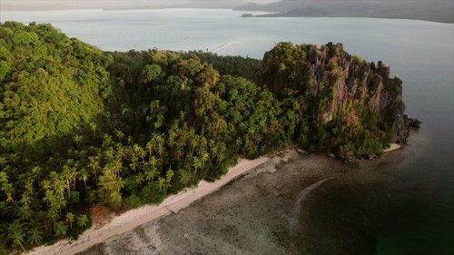 Background image for The snart against the strong