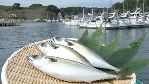 Saba (Mackerel)