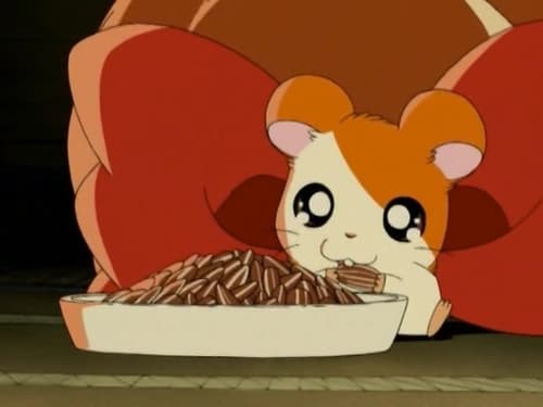 Hamtaro, Please Come Home!