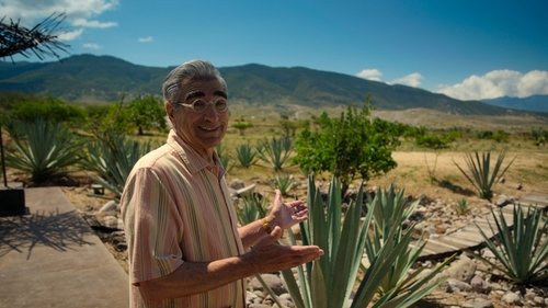 Background image for Celebrating Day of the Dead in Mexico