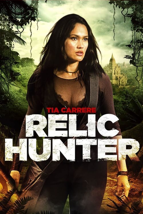 Show cover for Relic Hunter