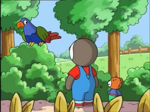 Charley at the Swimming Pool