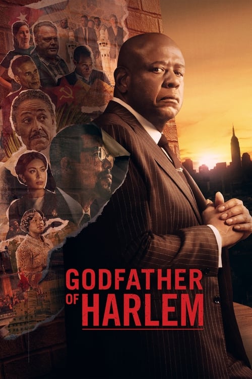 Show cover for Godfather of Harlem