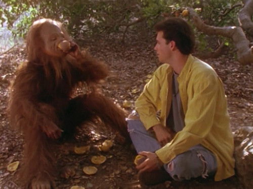 Background image for Cheers