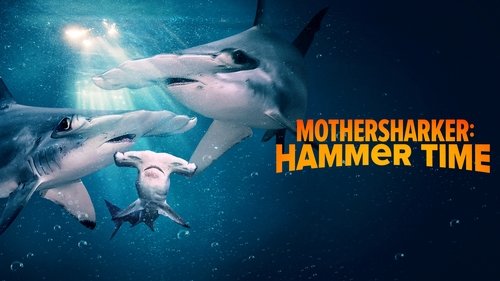Background image for Mothersharker: Hammer Time