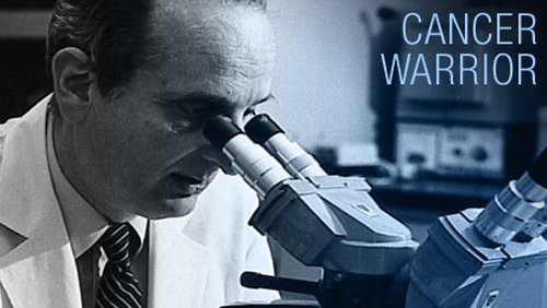 Background image for The Cancer Warrior