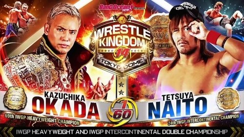 Background image for Wrestle Kingdom 14 - Day 2
