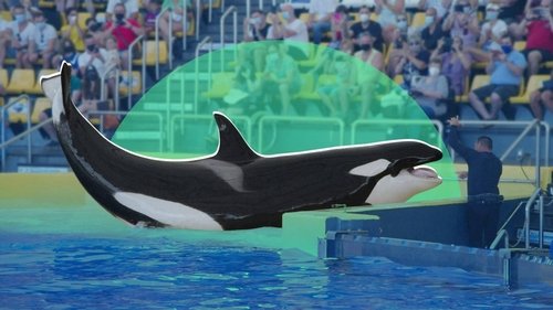 Background image for Morgan, de verloren orka (2/2)