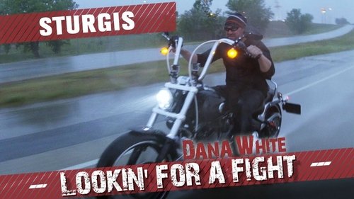 Background image for Sturgis