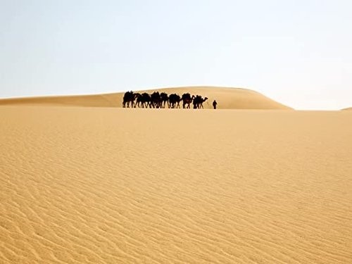 Background image for The Yellow Sahara
