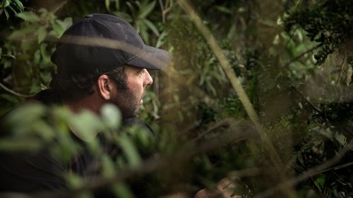 Background image for Wild Boar Rampage