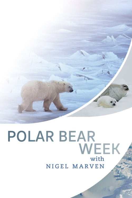 Show cover for Polar Bear Week with Nigel Marven