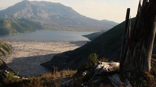 Mt. St. Helens Back From the Dead