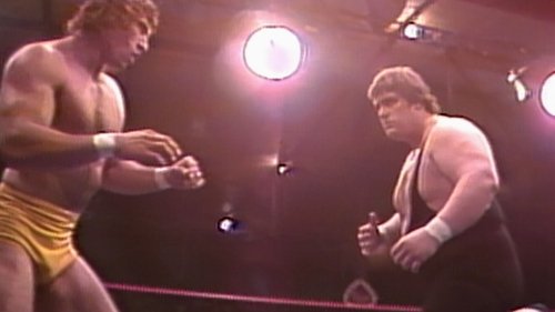 Background image for WCCW - May 29, 1982