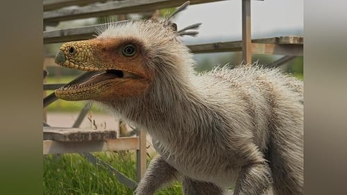 Chickenosaurus Rex (1)