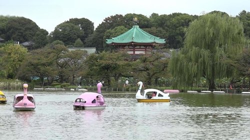Background image for Ueno Park - At the Crossroads of Edo and Meiji
