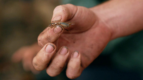 Background image for Episode 15