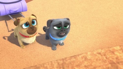 Background image for Suitcase Switcheroo