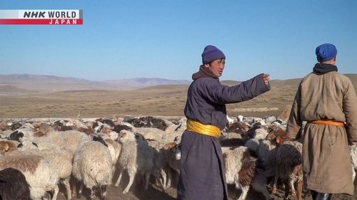 Background image for Shaping Sustainable Cashmere: Mongolia