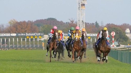 Background image for Keyword: Horse Racing