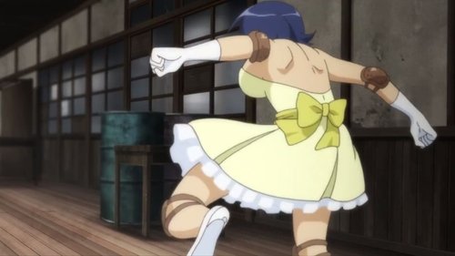 Background image for Appointed as the Lady's Guard