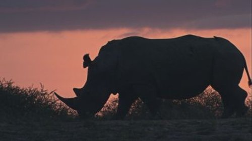 Background image for Giant Killers