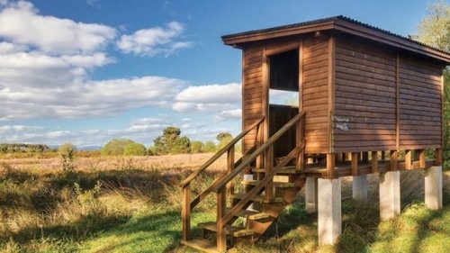 Tactics for Better Birding