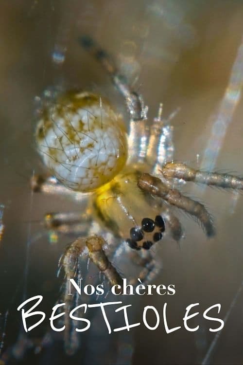 Show cover for Nos chères bestioles