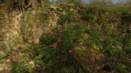 Buck Mill, Somerset - Search for the Domesday Mill