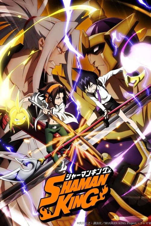 Show cover for SHAMAN KING