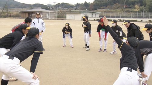 Background image for Baseball Heals Kids