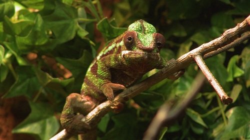 Background image for Episode 2