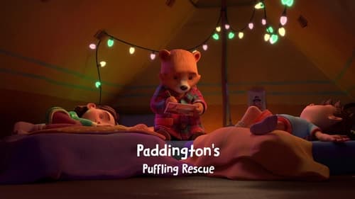 Paddington's Puffling Rescue