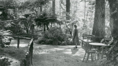 Background image for Japanese Internment