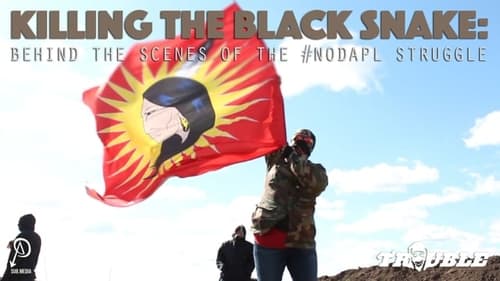 Killing the Black Snake: Behind the Scenes of the #NODAPL Struggle