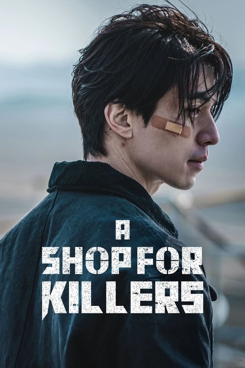 Show cover for A Shop for Killers