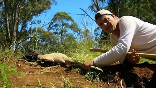 Background image for Australia: Episode 5
